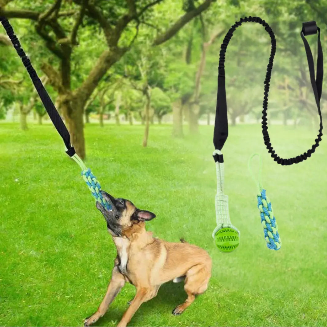 PawTug Infinity™ - Interactive Dog Toy